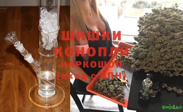 соль курить ск Белокуриха