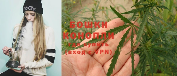 соль курить ск Белокуриха