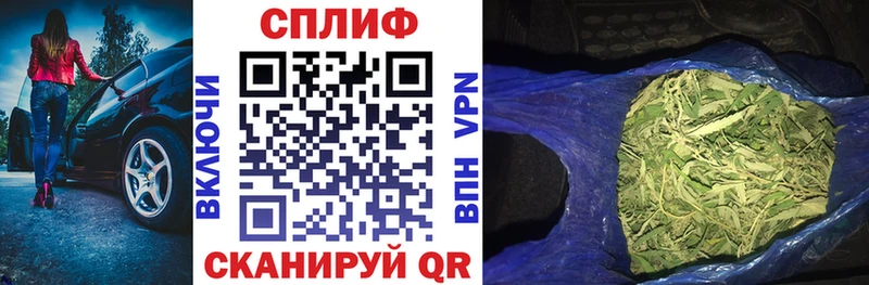 Купить закладки  Гусев  Канабис VHQ 
